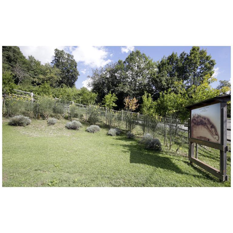 הוילה Licciana Nardi Montagna Verde מראה חיצוני תמונה