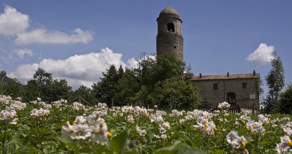 הוילה Licciana Nardi Montagna Verde מראה חיצוני תמונה